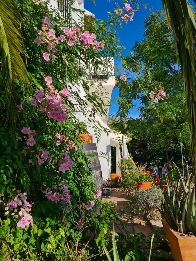 Bed and Breakfast Cortijo La Haza Iznájar Esterno foto