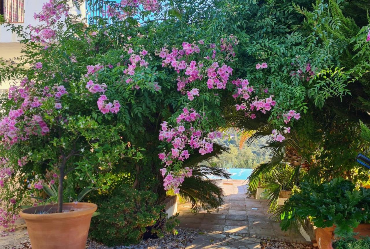 Bed and Breakfast Cortijo La Haza Iznájar Esterno foto