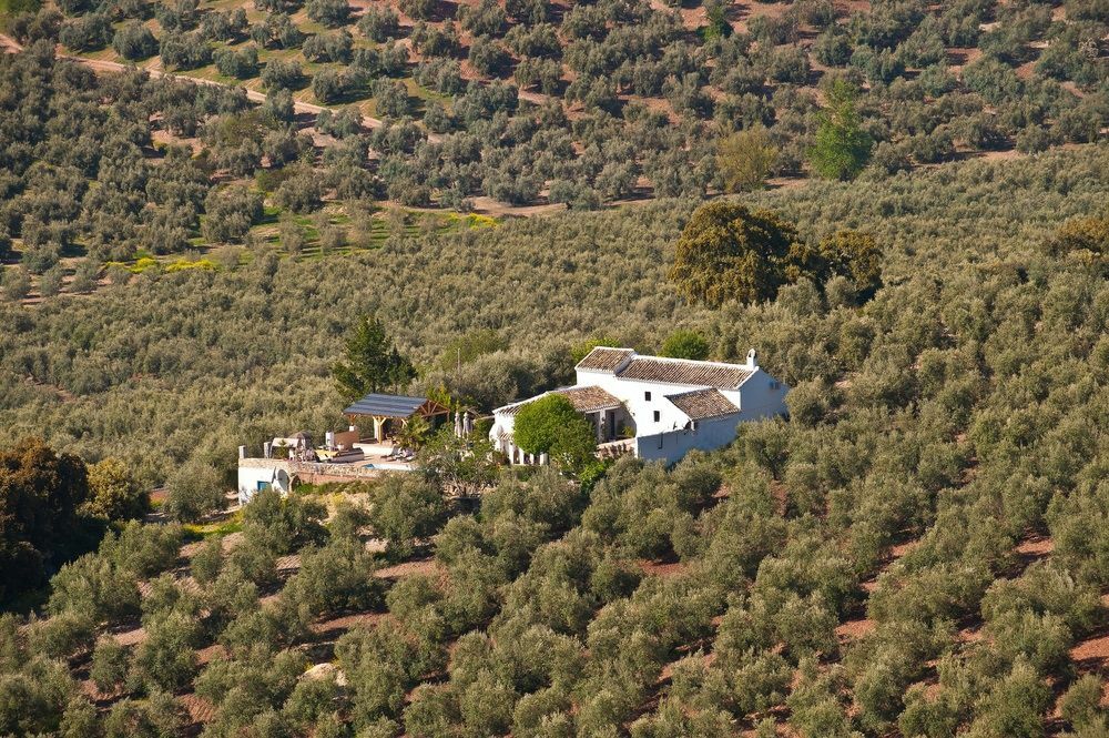 Bed and Breakfast Cortijo La Haza Iznájar Esterno foto